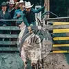 Brandon Pickering - @brandonpickering1 - TikTok