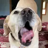 Brandon - @brandonplotts - TikTok
