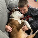 Brandon Preston - @brandonpreston88 - Instagram