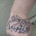 Brandon Preston - Facebook