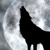 Brandon Rains - @brandon.rains2 - TikTok