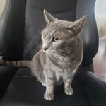 Brandon Reeder - @breeder3 - Instagram