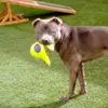 Brandon Reeder - @brandon.reeder - TikTok