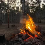 Brandon Roodt - @brandon_roodt572 - Instagram