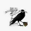 Rooks454 - @brandonrooks7 - TikTok
