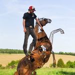 Brandon Roost - @brandonroost - Instagram