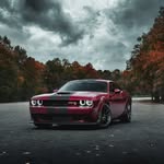 Brandon Rosen - @brandonrosenn - Instagram