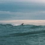 Brandon Rosen - @nanceyzapp776 - Instagram
