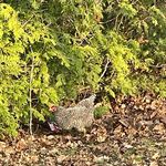 Brandon Ruby - @brandonruby3 - Instagram