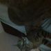Braedon Shaffer - Facebook