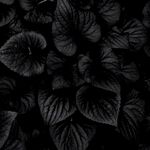 Brandon Scheffler - @subz3rochill - Instagram