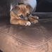 Brandon Schmidt - Facebook