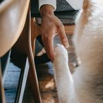Brandon R. Seaton - @brandonr.seaton - Instagram