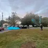 Brandon - @brandon.sharp44 - TikTok