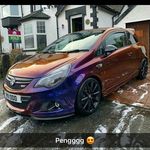 Brandon Sharpe - @brandon.sharpe.946 - Instagram