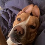 Brandon Sherrard - @riley_boose - Instagram
