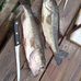 Brandon Shipp - Facebook
