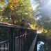 Brandon Shippy - Facebook
