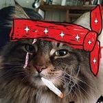Brandon Shrader - @splitsecond713 - Instagram
