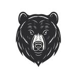 Brandon Shuler - @bj0rnbearberserker - Instagram