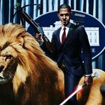 brandon Simmonds - @brandonsimonnds - Instagram
