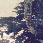 Brandon Slaton - @thepartyhitman - Instagram