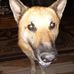 Brandon Slone - Facebook