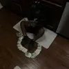 BrandonSmalls10 - @brandon.smalls6 - TikTok