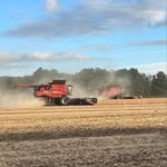 Brandon Snell - @brandon_snell.adjala_acres - Instagram