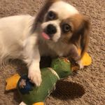 Brandon Snell - @bdsnell2023 - Instagram
