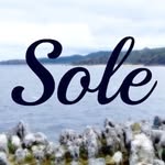 Brandon Sole - @solephotospro - Instagram