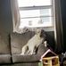 Brandon Solem - Facebook