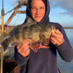 Brandon spielman - @brando._fish - Instagram