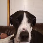 Brandon Stanfill - Facebook