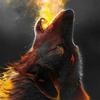 brandon_stromanmerli - @brandon_stromanme - TikTok