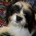 Brandon Stroup - @brandonstroup - Instagram