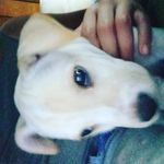 Brandon Styles - @brandonstyles2006 - Instagram