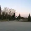 Brandon - @brandonsun - TikTok