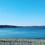 Brandon Sun - @brandon_sun786 - Instagram