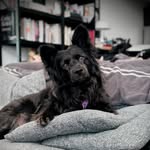 BRANDONSUN - @brandon_sun - Instagram
