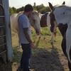 Brandon Teague - @dirtyrooster1 - TikTok