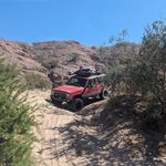 Brandon Teel - @teelbrandon - Instagram