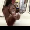 Brandon Terrell - @brandonterrell84 - TikTok