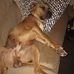 Brandon Tharp - Facebook