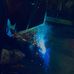 Brandon Traynor - Facebook