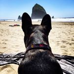 Brandon Trimble - @b_trim - Instagram
