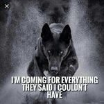 Brandon Trimble - @trimble.brandon - Instagram