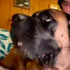 Brandon Van Horn - @brandonvanhorn41 - TikTok