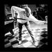 Brandon Vargo - Facebook