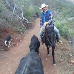 Brandon Vernon McCutchen - @diamond_b_cattle_co - Instagram